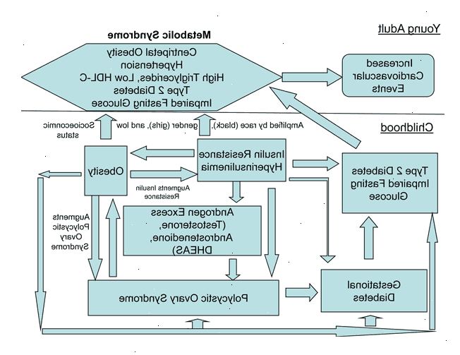 Fedme, forhøjet kolesterol, og metabolisk syndrom