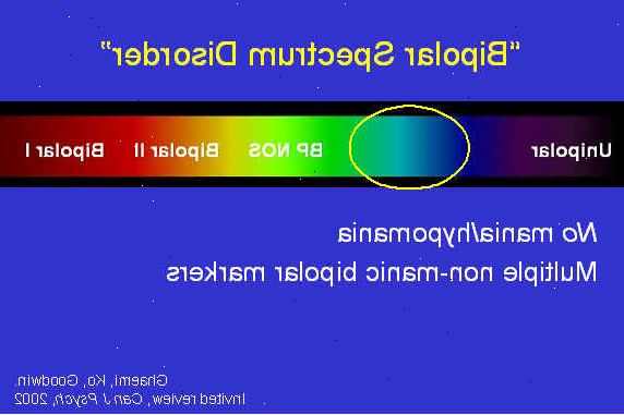 Er det bipolar lidelse eller noget andet?